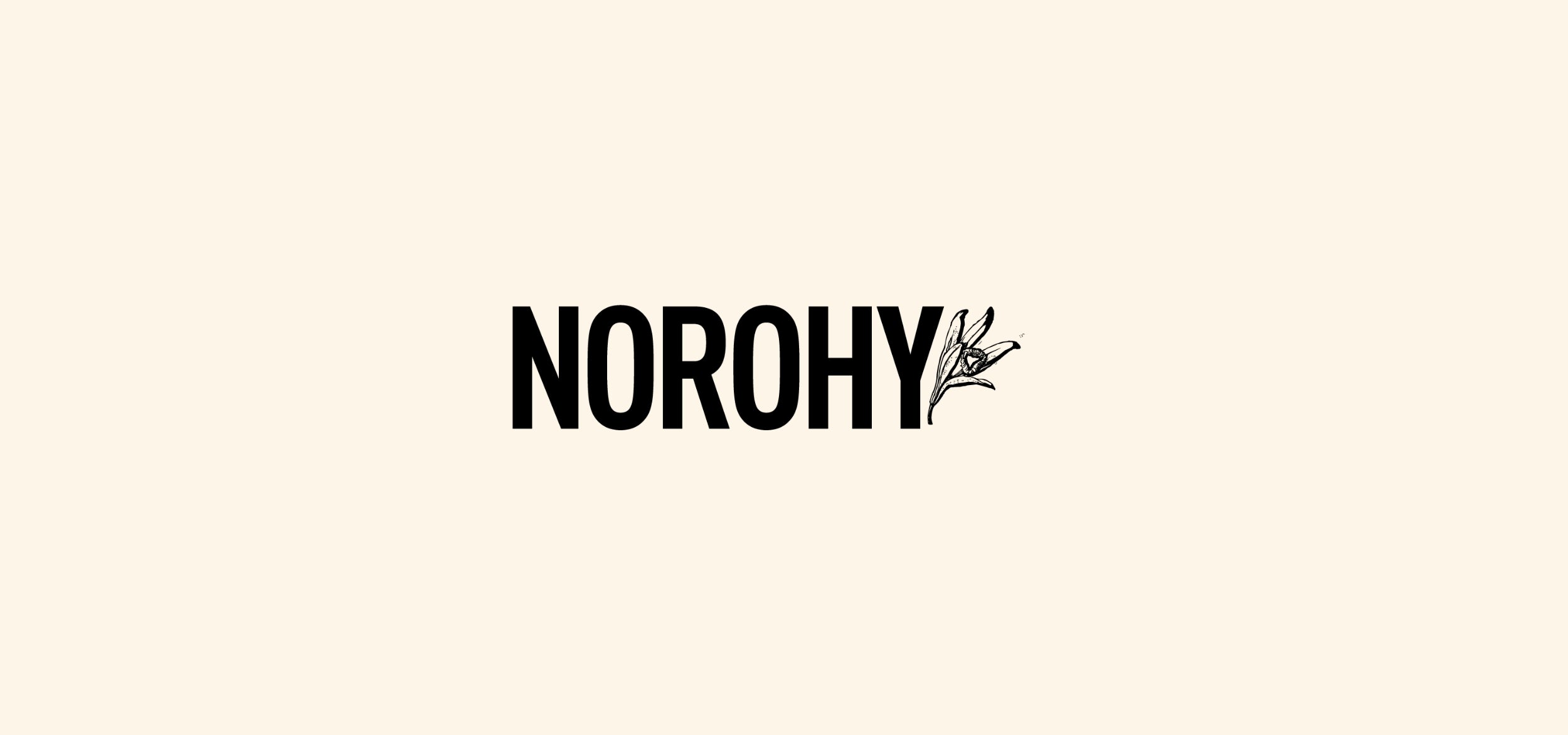 logo de la marque Norohy