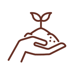 icone représentant une main qui tient de la terre avec une plante qui pousse