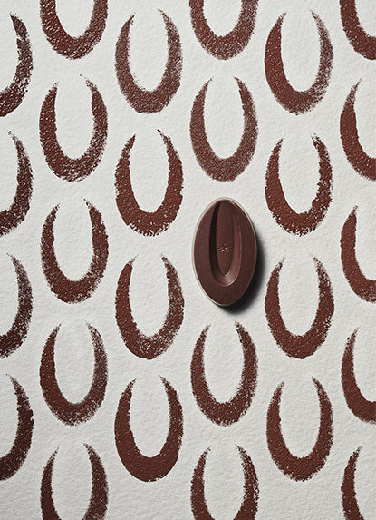 Fève de chocolat - symbole de la marque Valrhona 